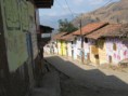 /album/fotogaleria-nuestro-distrito/lucma9-jpg/